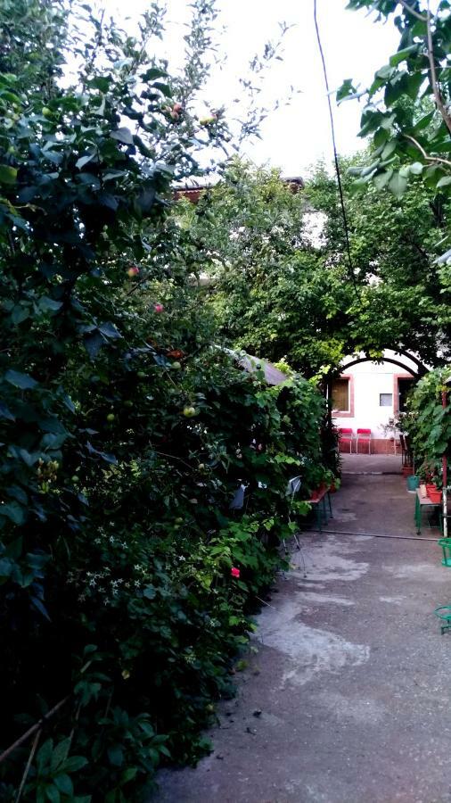 Casa din Gradina Villa Eforie Sud  Esterno foto
