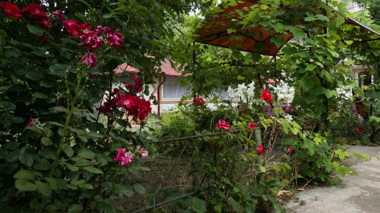 Casa din Gradina Villa Eforie Sud  Esterno foto